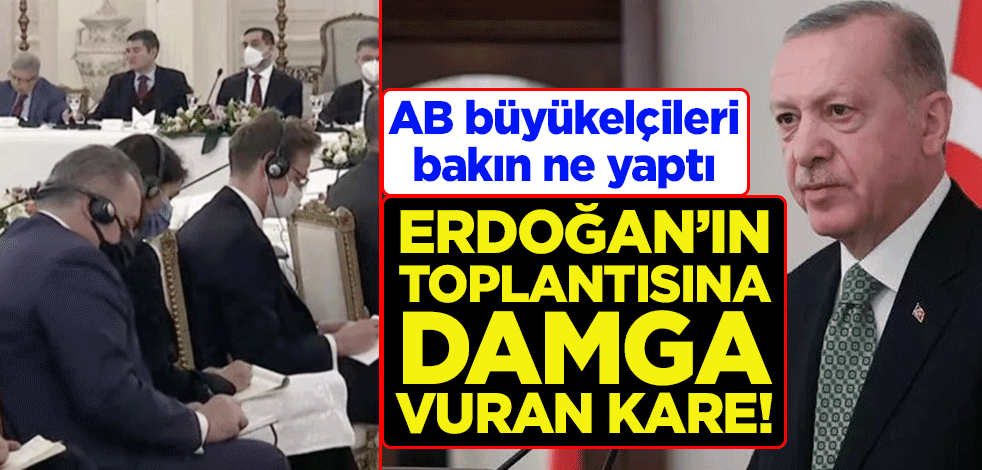 Toplantıya damga vuran kare! Erdoğan konuştu, AB büyükelçileri tek tek not aldı