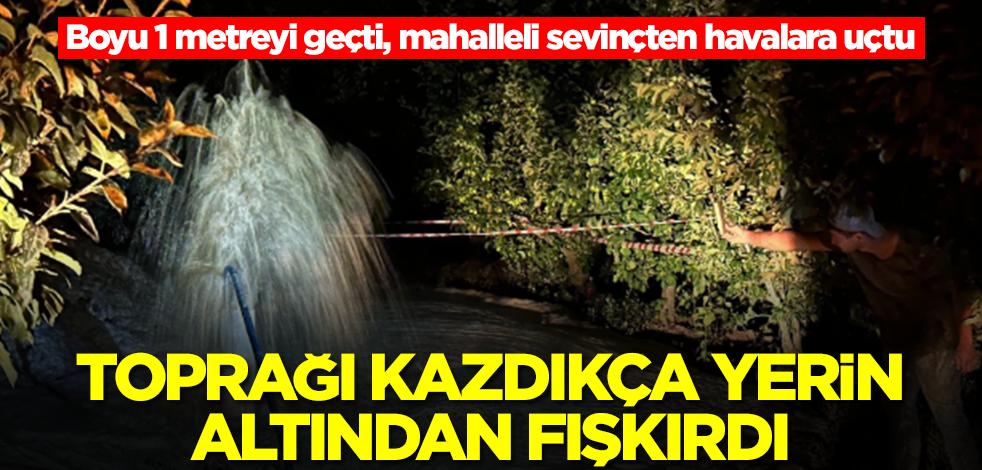 Toprağı kazdıkça yerin altından fışkırdı! Boyu 1 metreyi geçti, mahalleli sevinçten havalara uçtu