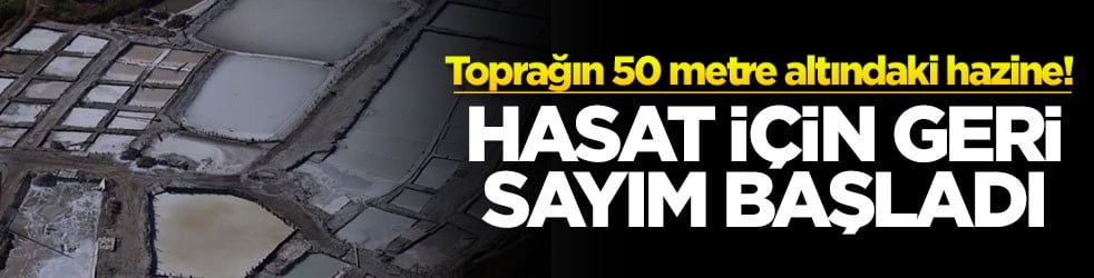 Toprağın 50 metre altındaki hazine! Hasat için geri sayım başladı