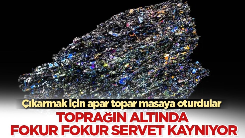 Toprağın altında fokur fokur servet kaynıyor: Çıkarmak için apar topar masaya oturdular