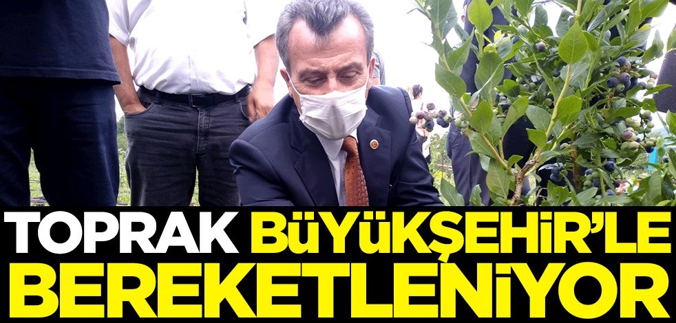 Toprak Büyükşehir’le bereketleniyor