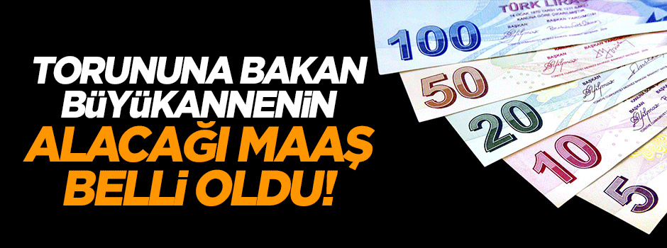 Torununa bakacak büyükannenin maaşı belli oldu!