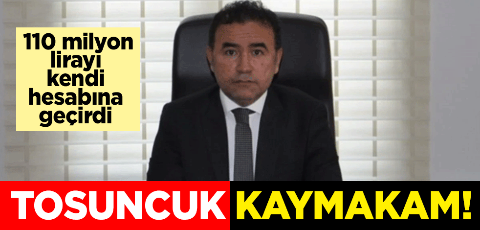 Tosuncuk kaymakam! 110 milyon lirayı kendi hesabına geçirdi