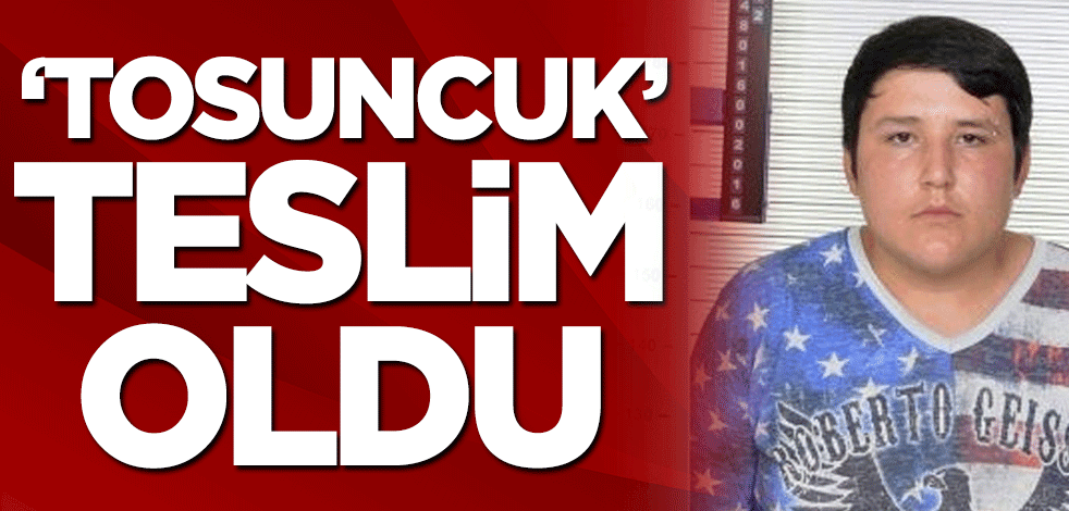'Tosuncuk' lakaplı Mehmet Aydın teslim oldu