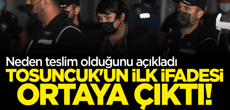 "Tosuncuk" Mehmet Aydın'ın ilk ifadesi ortaya çıktı