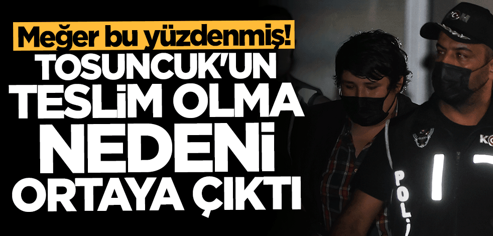 "Tosuncuk" Mehmet Aydın'ın teslim olma nedeni ortaya çıktı