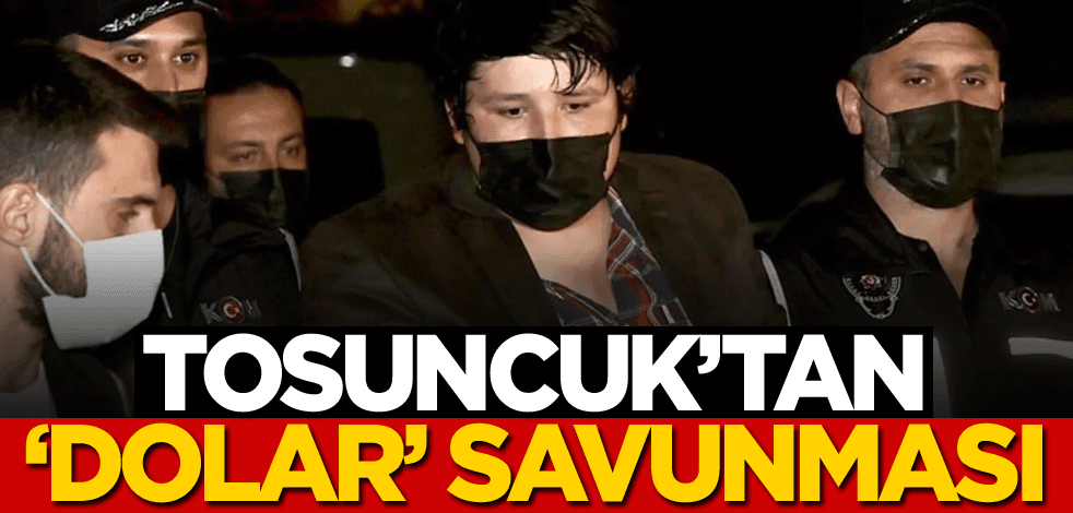 Tosuncuk'tan 'dolar' savunması
