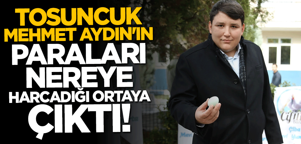 Tosuncuk'un paraları nereye harcadığı ortaya çıktı