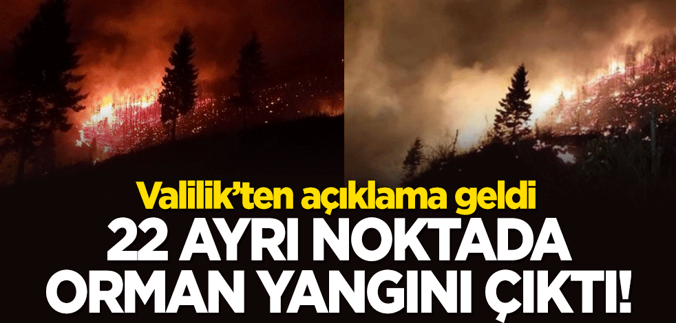 Trabzon'da 22 ayrı noktada orman yangını! Valilik açıklama yaptı