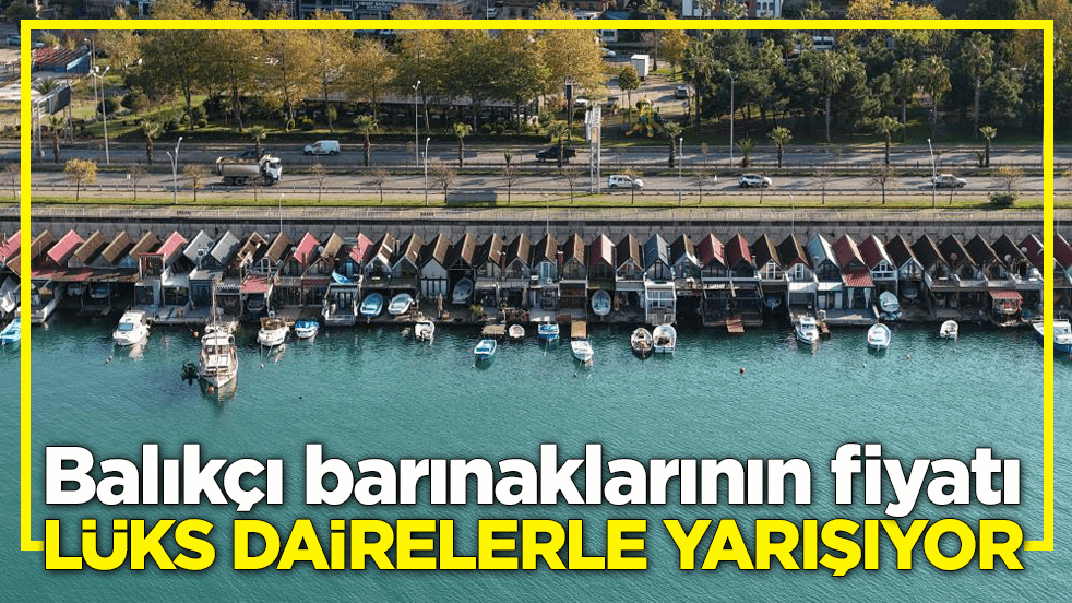 Trabzon'da balıkçı barınakları milyonluk bedellerle satılıyor! Üstelik hiçbirinin tapusu da yok