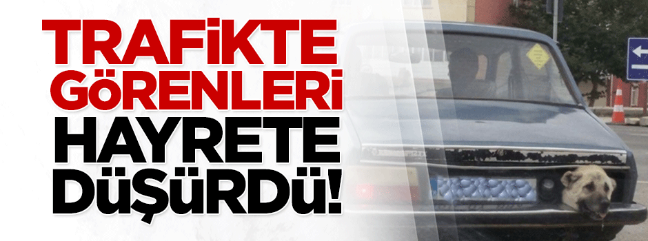 Trafikte görenleri hayrete düşürdü!