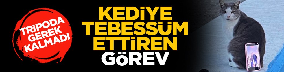 Tripoda gerek kalmadı: Kediye tebessüm ettiren görev
