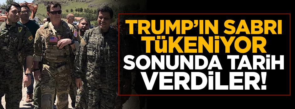 Trump, Amerikan askerlerinin seçimlerden önce Suriye'den çekilmesini istemiş