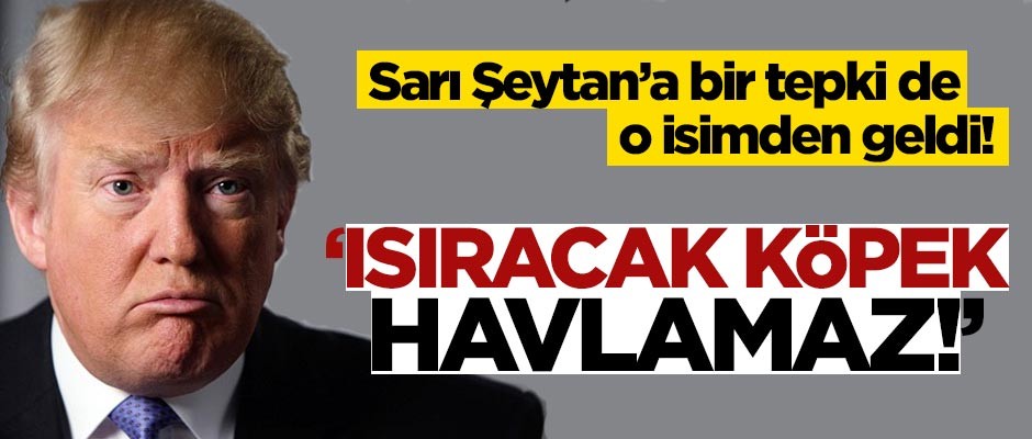 Trump'a bir tepki de o isimden geldi: Isıracak köpek havlamaz Donald