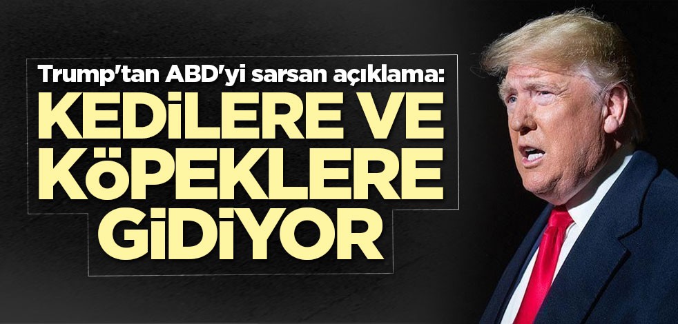 Trump'tan ABD'yi sarsan açıklama: Kedilere ve köpeklere gidiyor