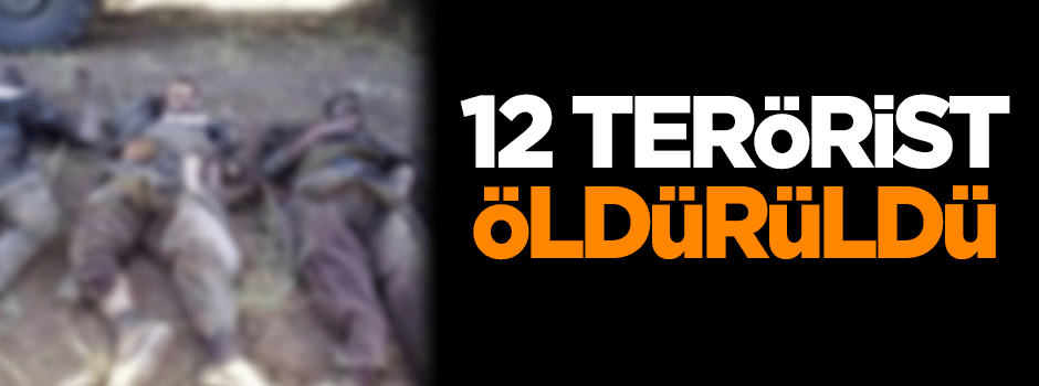TSK: 12 terörist öldürüldü