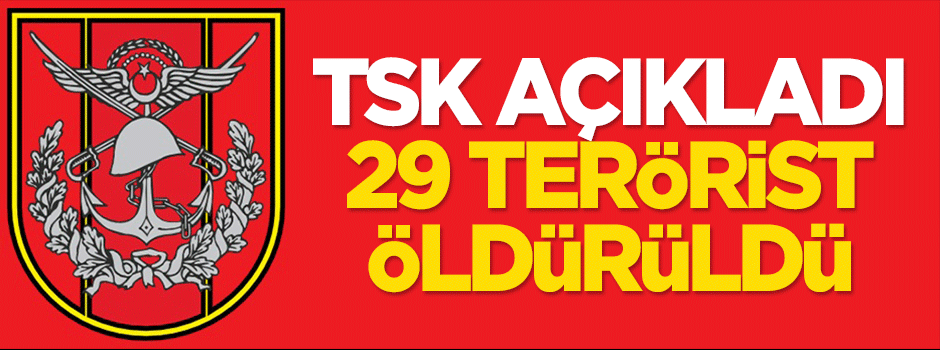 TSK: 29 terörist öldürüldü
