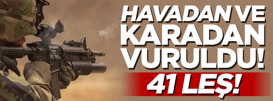 TSK: 41 terörist öldürüldü