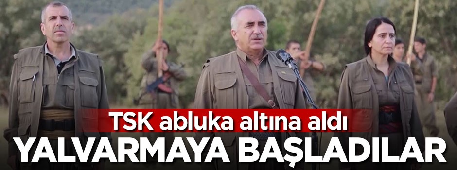 TSK abluka altına aldı, yalvarmaya başladılar
