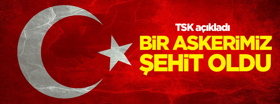 TSK açıkladı: 1 askerimiz şehit oldu