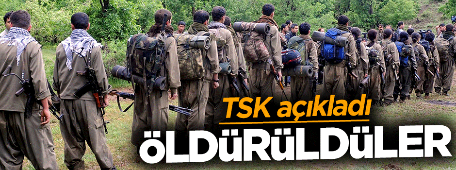 TSK açıkladı: 34 terörist öldürüldü