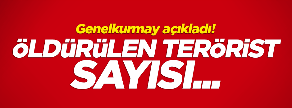 TSK açıkladı: 5 terörist öldürüldü