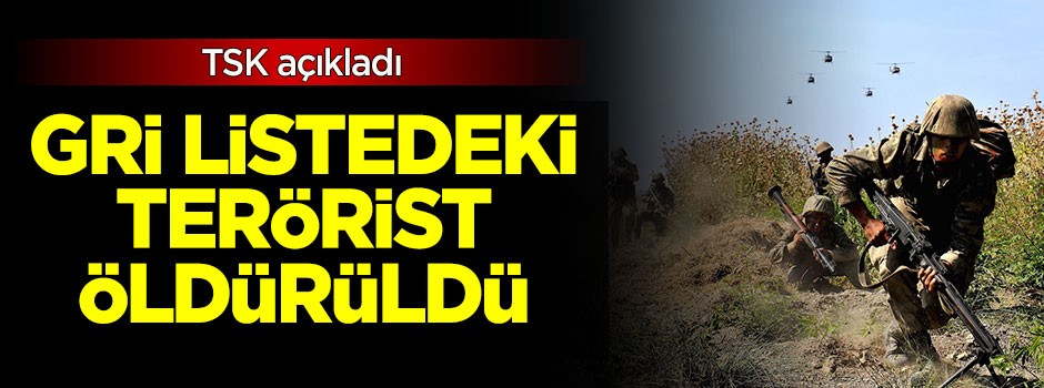 TSK açıkladı: Gri listedeki terörist öldürüldü