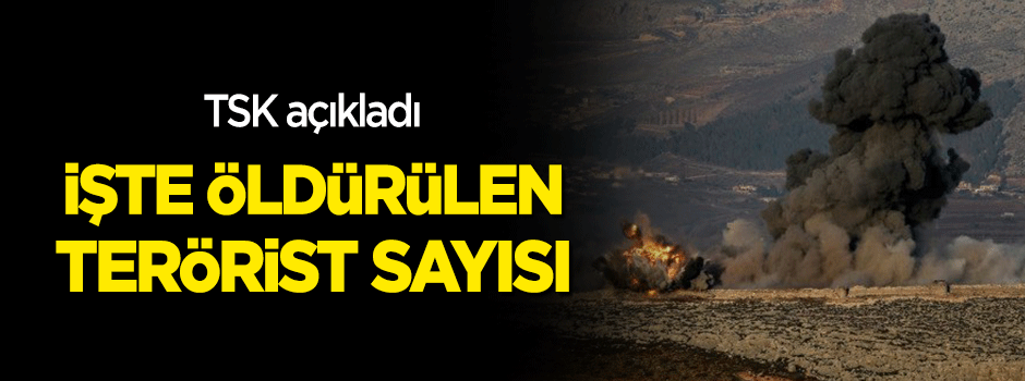 TSK açıkladı! İşte Afrin'de öldürülen terörist sayısı