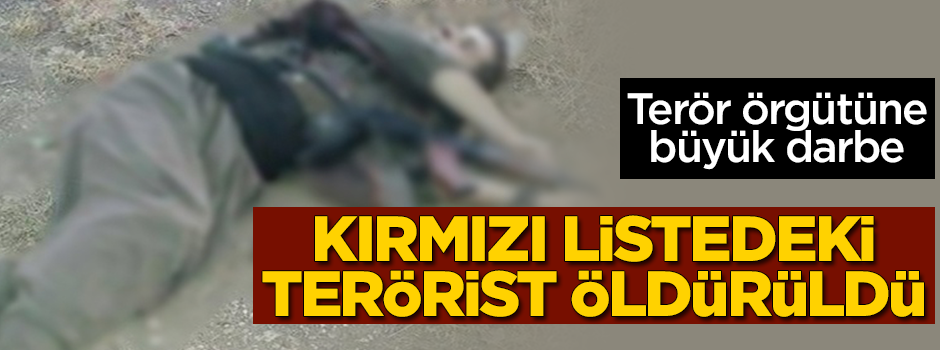 TSK açıkladı! Kırmızı listedeki terörist öldürüldü