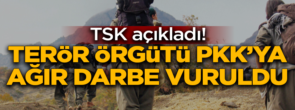 TSK açıkladı! PKK'ya ağır darbe vuruldu