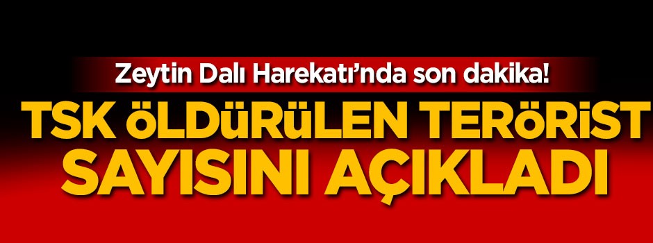TSK Afrin'de öldürülen terörist sayısını açıkladı