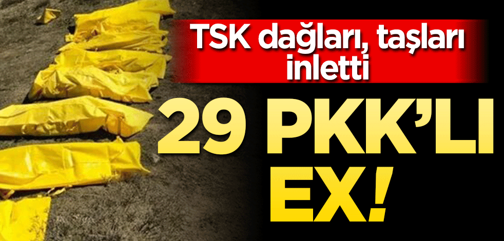 TSK dağları taşları inletti! 29 PKK’lı ex!