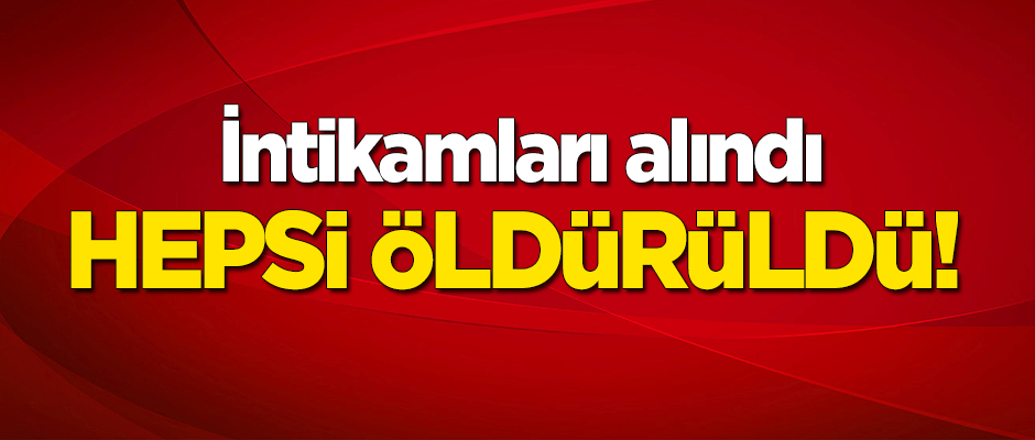 TSK intikamlarını aldı! Hepsi öldürüldü