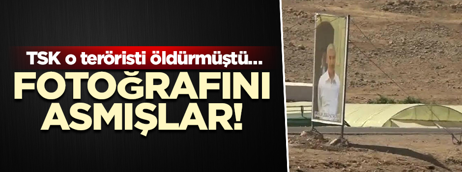 TSK o teröristi öldürmüştü… Fotoğrafını asmışlar
