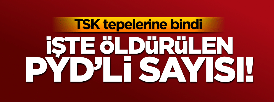 TSK öldürülen PYD'li sayısı açıkladı