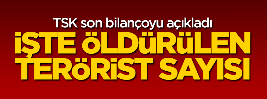 TSK: öldürülen terörist sayısı 280'e yükseldi