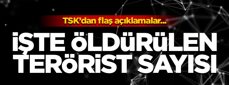 TSK öldürülen terörist sayısını açıkladı!