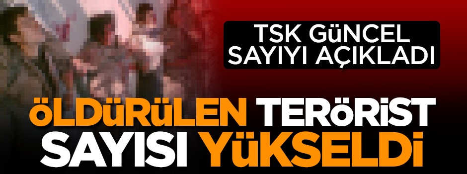 TSK öldürülen terörist sayısını açıkladı!
