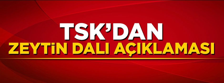 TSK öldürülen terörist sayısını açıkladı