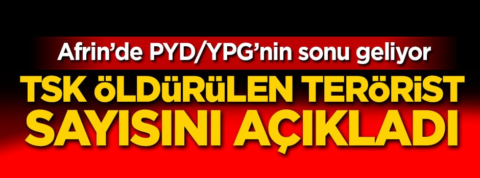 TSK öldürülen terörist sayısını açıkladı