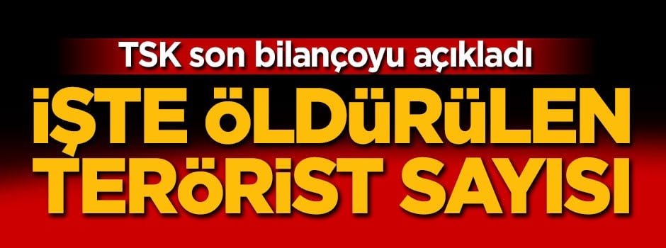 TSK öldürülen terörist sayısını açıkladı