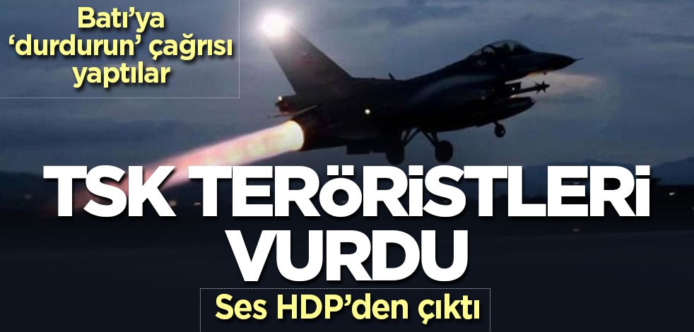 TSK, PKK'yı vurdu! HDP Avrupa'ya ağladı