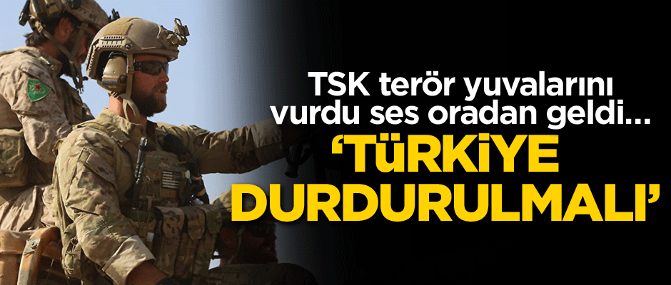 TSK terör yuvalarını vurdu ses oradan geldi… Tek ses oldular, skandal mesaj: Türkiye durdurulmalı