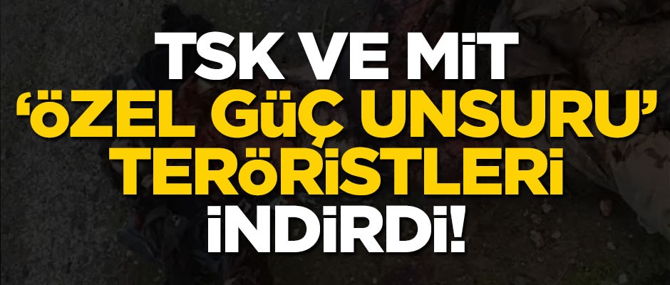 TSK ve MİT'in çalışmasıyla özel gün unsuru PKK'lılar öldürüldü