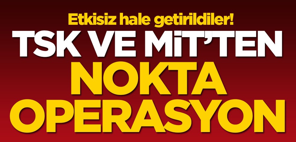 TSK ve MİT'ten nokta operasyon! Etkisiz hale getirildiler