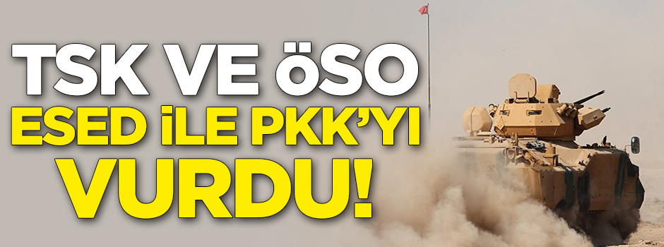 TSK ve ÖSO, Esed ile PKK'yı vurdu!