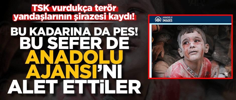TSK vurdukça terör yandaşlarının şirazesi kaydı! Bu sefer de AA'nın fotoğrafını kullandılar