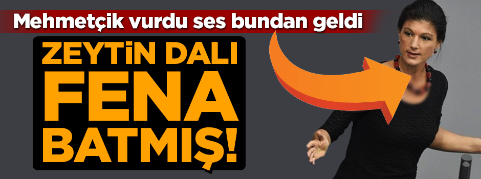 TSK Afrin'de hainleri vurdu, ses Almanya'dan geldi