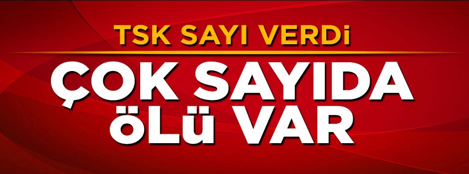 TSK'dan açıklama: 72 terörist öldürüldü