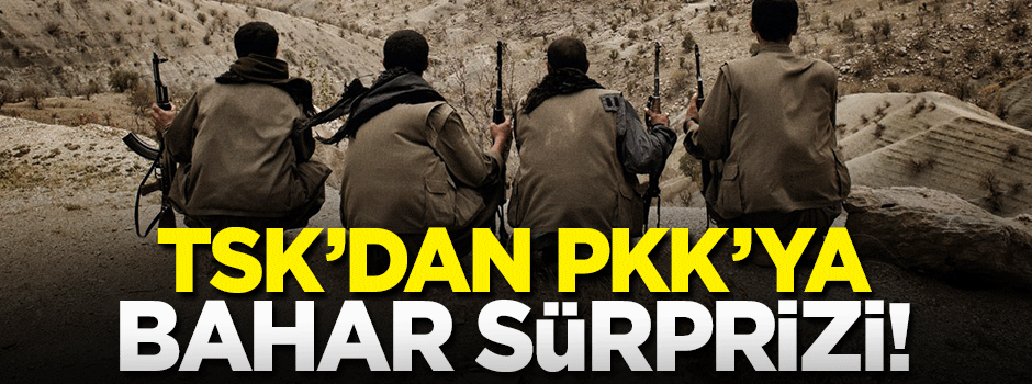 TSK'dan bahar temizliği